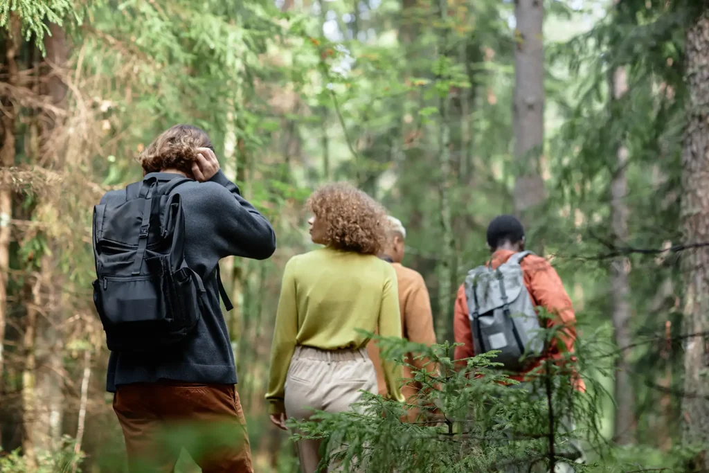 people walking in the forest