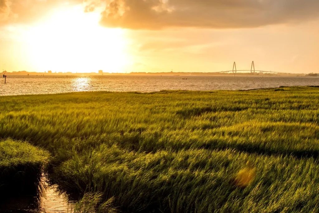 sunset in a field