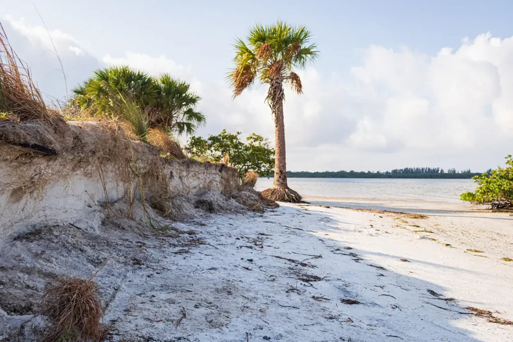 landscape of tampa bay under the sunlight and clouds
