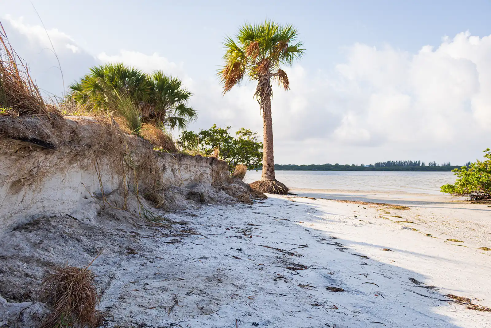 landscape of tampa bay under the sunlight and clouds