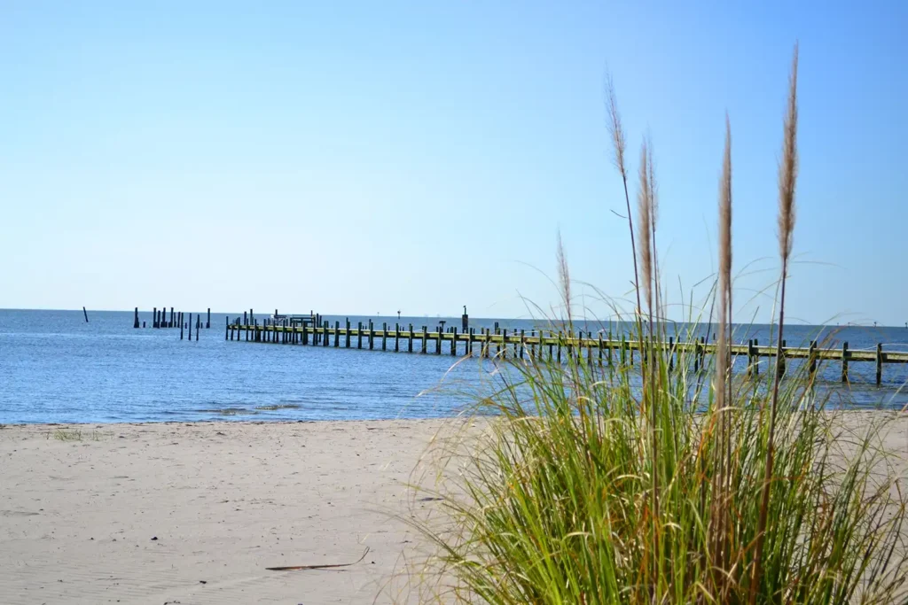 sea grass in sand with the chesapeake bay and pier