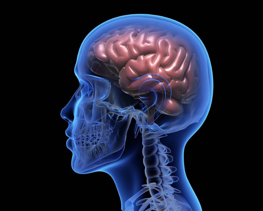 Brain graphic for TMS therapy
